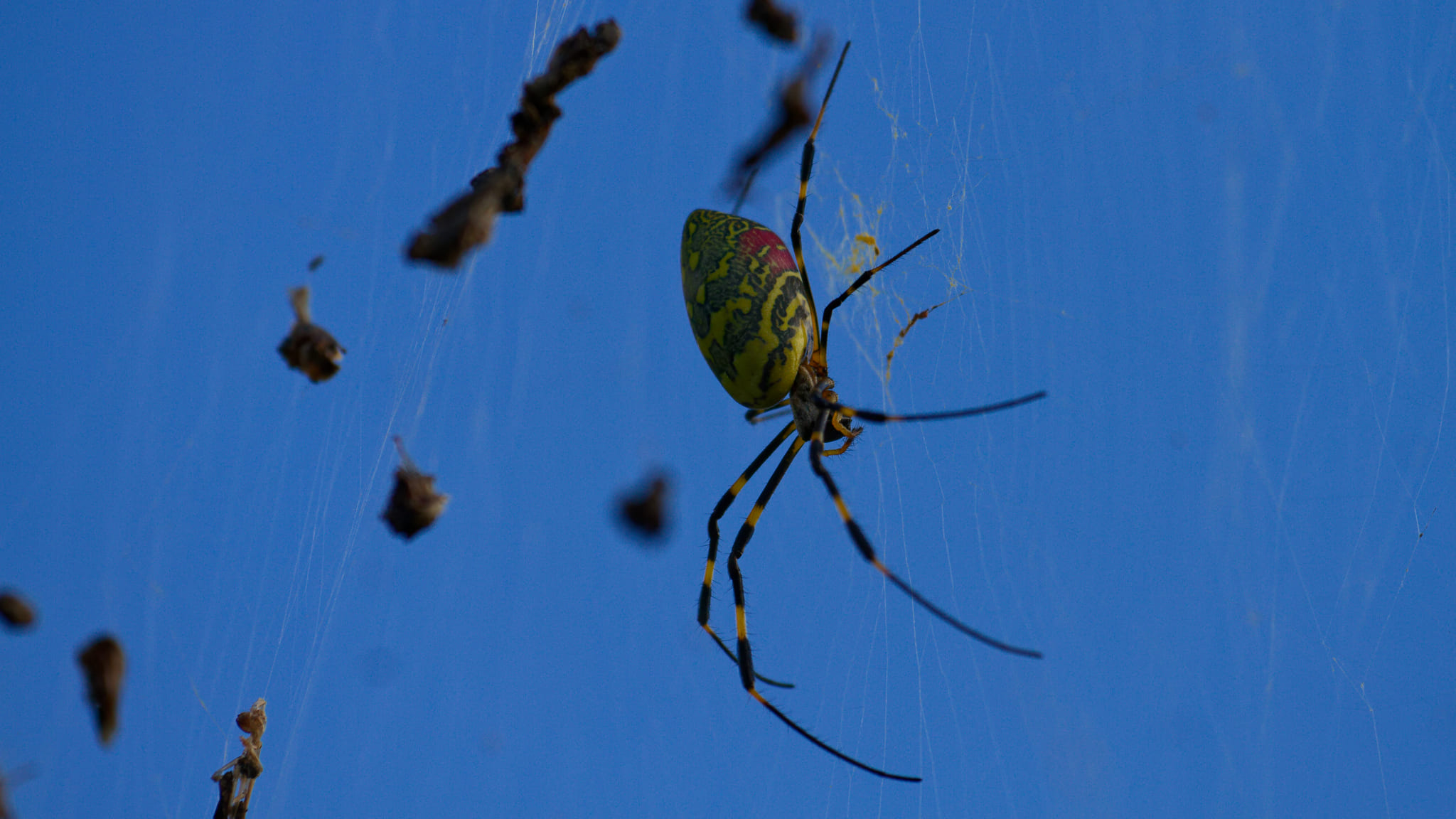 07-Tsumago Magome (21).jpg
